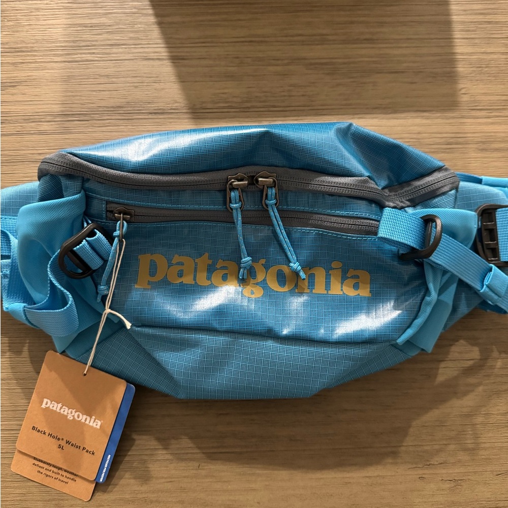 NWT Patagonia 5L Black Hole Waist Pack